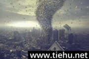 华尔街站队特朗普，欧洲怕了，中国静观其变
